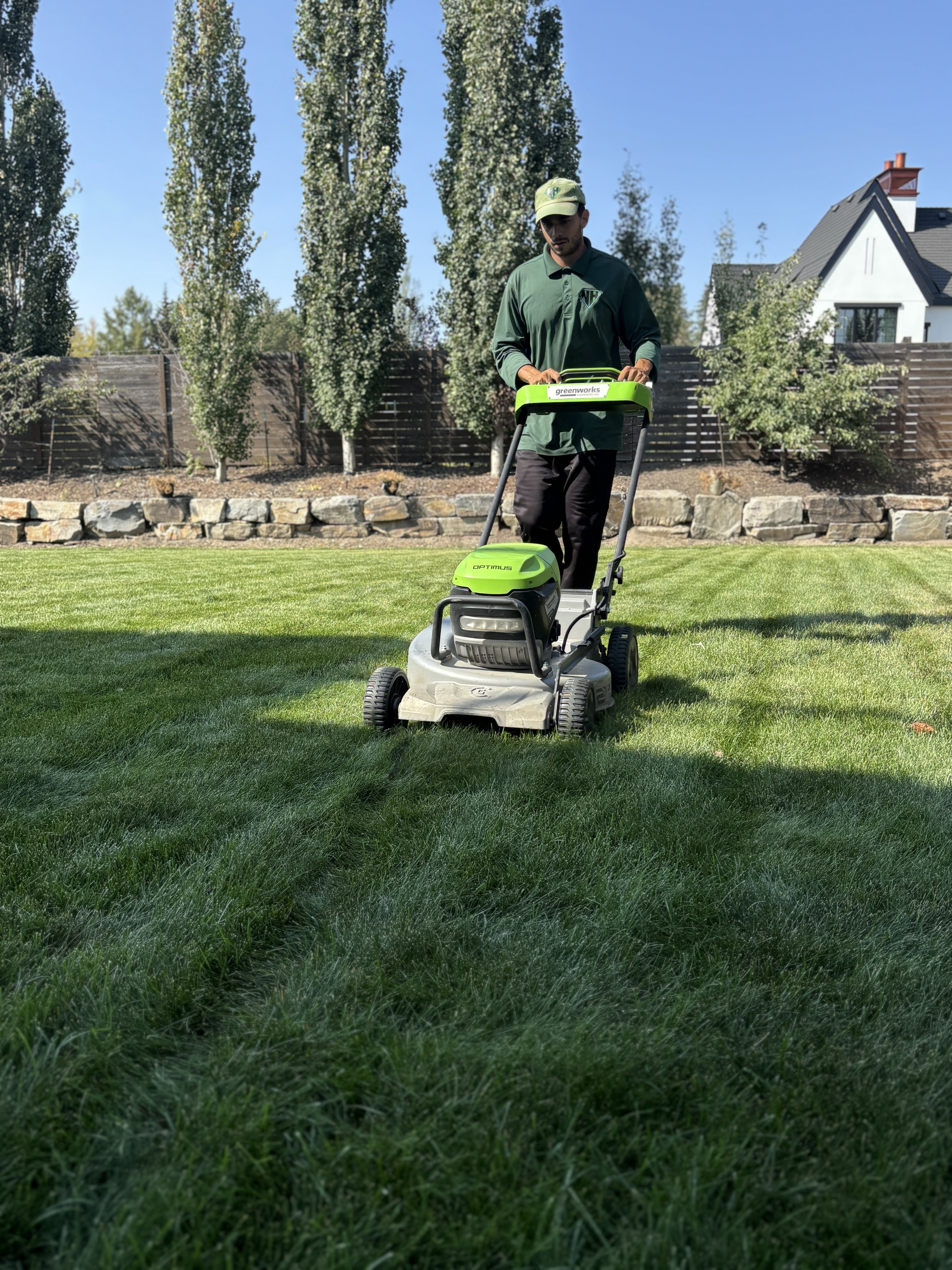 Spring lawnmowing edmonton